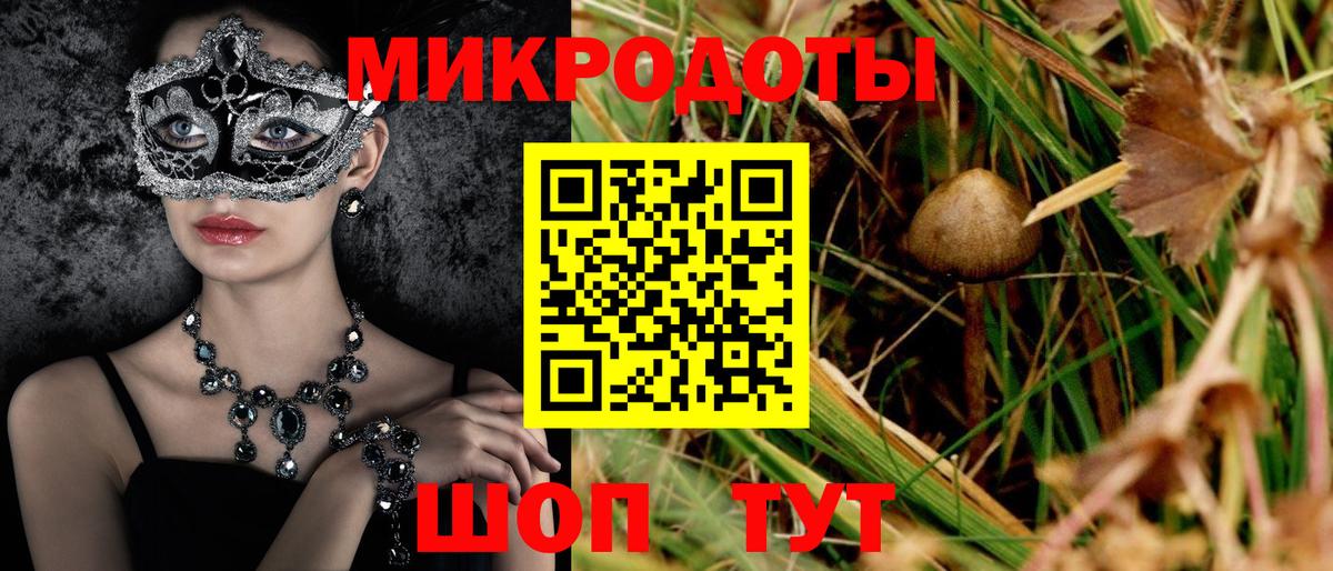 Псилоцибиновые грибы Cubensis Мичуринск